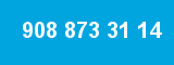 908 873 31 14